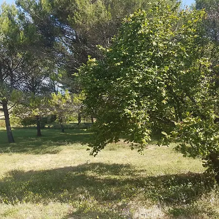 Les 3 Hirondelles