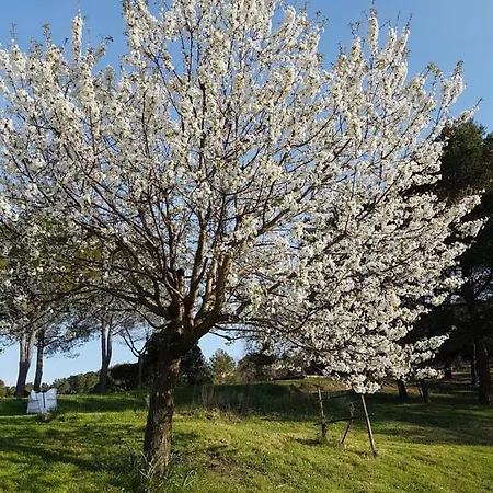 Les 3 Hirondelles