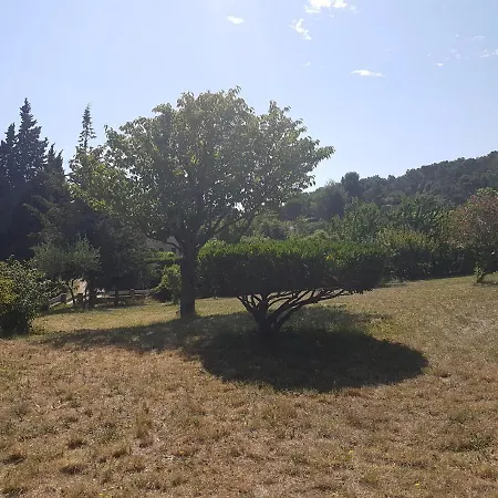 Les 3 Hirondelles