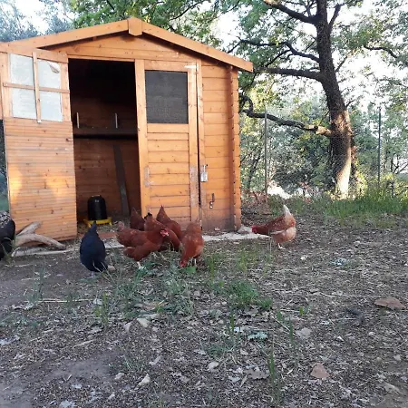 Les 3 Hirondelles Appartement Pont-Saint-Esprit