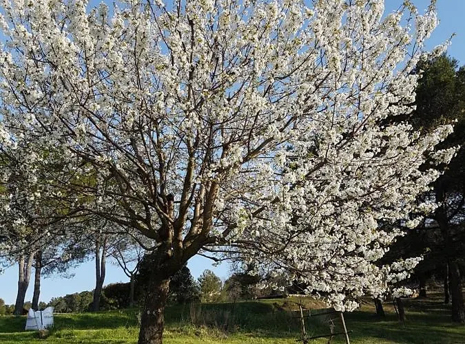 Les 3 Hirondelles