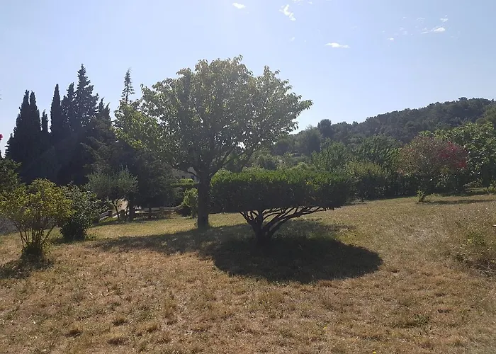 Les 3 Hirondelles